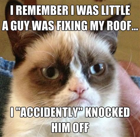 GRUMPY CAT - Meme Fan Art (36522122) - Fanpop