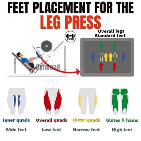 Leg Press Foot Variations For Total Leg Training Gymguider