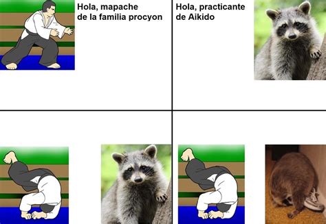 Top Memes De Mapache En Español Memedroid