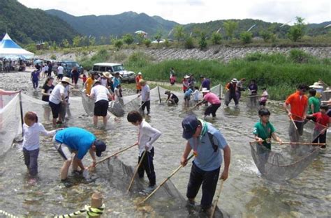 울진 굴구지 산촌마을서 왕피천 피래미 축제 열린다 노컷뉴스