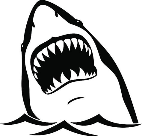 Shark Illustrations Royalty Free Vector Graphics And Clip Art Istock