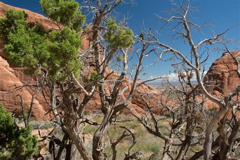 trail to Landscape Arch | Starshippilot | Bob Henderson