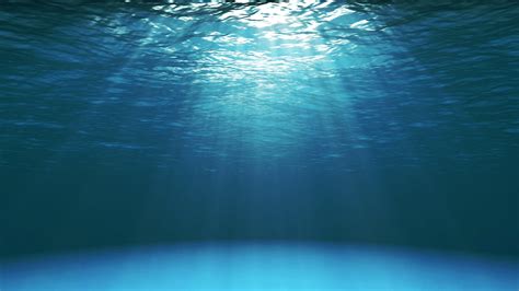 This Must Be Underwater Love Lyrics