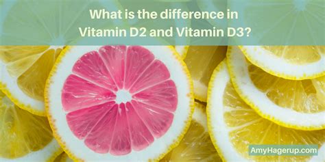 What Is The Difference In Vitamin D2 And Vitamin D3