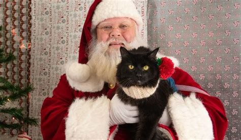 Get a FREE photo of your pet with Santa at Petco or Petsmart (RSVP now!) - Atlanta on the Cheap