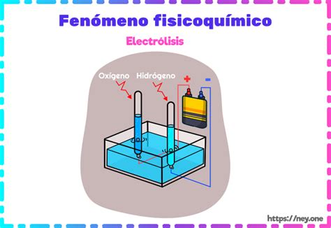 Concepto o significado de física Ney