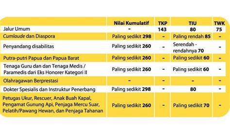 Panduan Lengkap Mengetahui Hasil Tes Seleksi Kompetensi Dasar CPNS PPPK