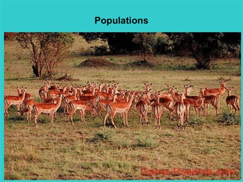 Chapter 5 Populations