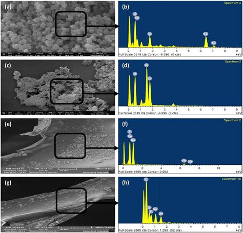 A And B Show The FESEM Image And EDX Spectrum Of Fe NPs C And