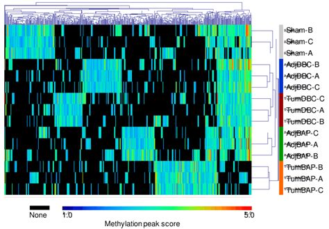 Unsupervised Bi Directional Hierarchical Cluster Analysis For Genes