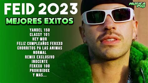 FEID MIX 2023 LAS MEJORES CANCIONES DE FEID YouTube