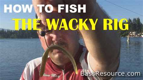 When And How To Fish A Wacky Rig For Bass Video The Ultimate Bass