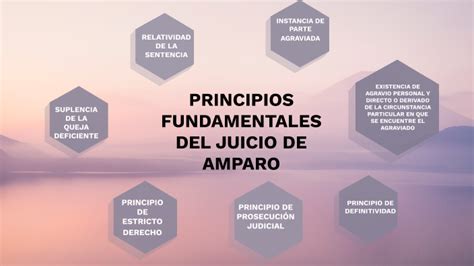 Ppt El Juicio De Amparo Directo Principios Fundamentales Dokumen Tips