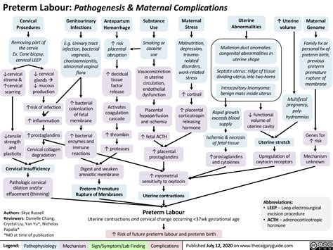 Preterm Labour: Pathogenesis & Maternal Complications | Calgary Guide