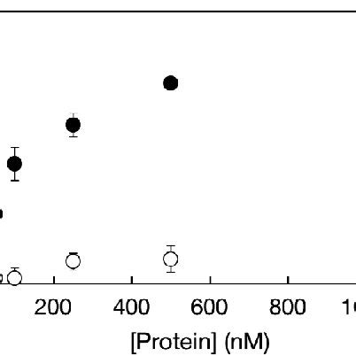 Characterization Of Nanogels A Size Distribution Determined By Dls