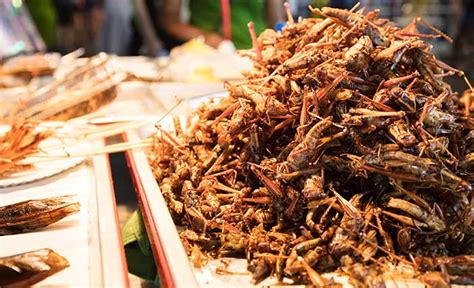 Les Restaurants Entomophages