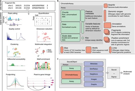 Multimodal Single Cell Chromatin Analysis With Signac