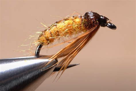 Video How To Tie An October Caddis Pupa Orvis News