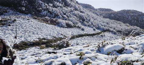 重庆南川金佛山旅游攻略 知乎