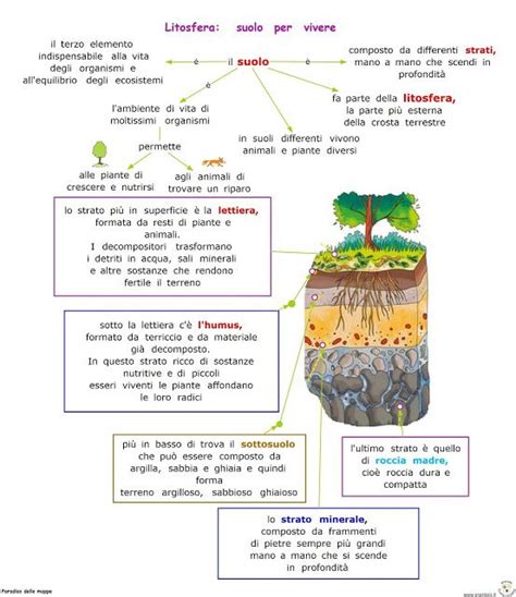 Paradiso Delle Mappe Litosfera Suolo Per Vivere Scienza Scienza