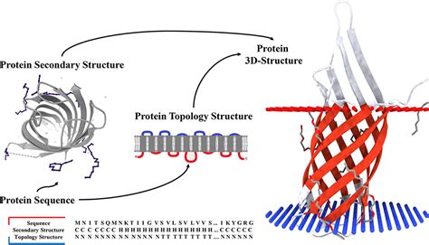 Frontiers TMPSS A Deep Learning Based Predictor For Secondary