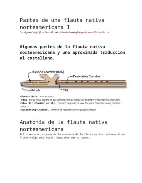 Docx Como Hacer Una Flauta Nativa Americana Dokumen Tips