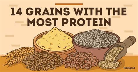 14 Grains With The Most Protein Complete List