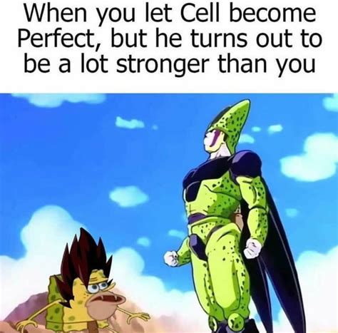 dragonballsuperdupe: Dragon Ball Cell Memes : 150 Funny Dragon Ball Z Memes For True Super ...