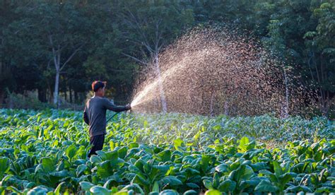 C Mo Aprovechar El Agua De Lluvia En El Campo Rotoplas Agroindustria