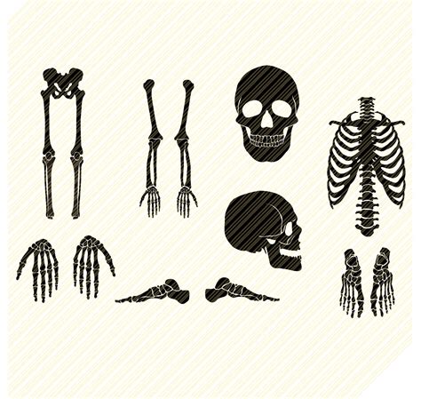 Skeleton Parts Svg Halloween Svg Halloween Decal Skeleton Etsy