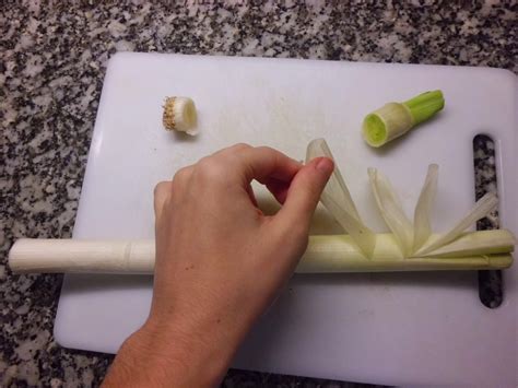 COCINARTESANO PARRILLADA DE VERDURAS