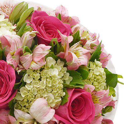 Buquê Carinho de Rosas Pink Fênix Floricultura Flores e presentes