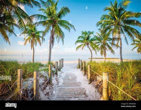 Smathers Beach Sunrise Beautifully Framed By Palm Trees Key West