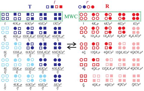 Diagrammatic Representation Of MWC And TTS Models With Boltzmann