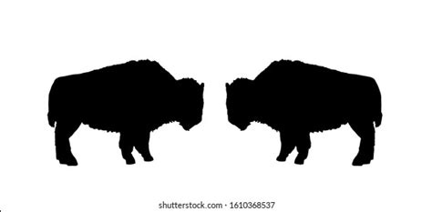 89 Charging Bison Silhouette Stock Vectors Images And Vector Art