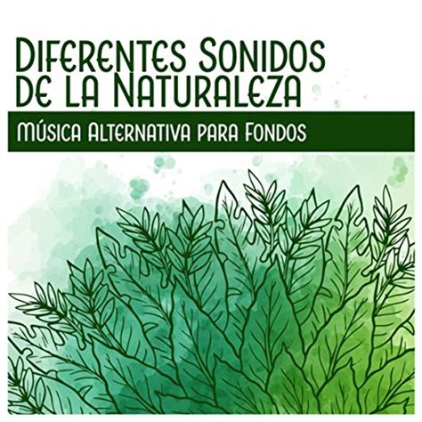 Diferentes Sonidos De La Naturaleza M Sica Alternativa Para Fondos