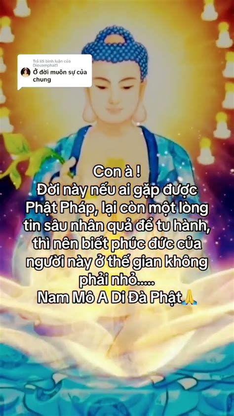 Phật Pháp Nhiệm Màu 🙏🙏🙏 Phatphap Buddha Phatphapnhiemmau Youtube