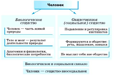 Обществознание Боголюбов Учебник §4 - Частная школа. 10 класс