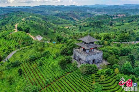 普洱思茅区：建设绿美景区 擦亮生态旅游底色中国网