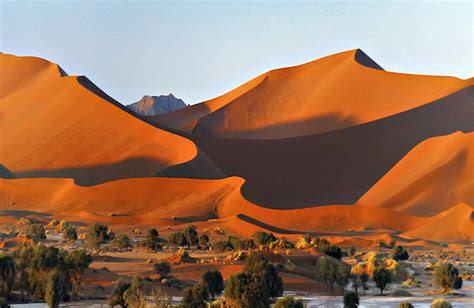 NAMIB DESERT CAMPSITE