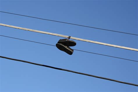 Sneakers On Power Lines How Do Birds Sit On Power Lines Without