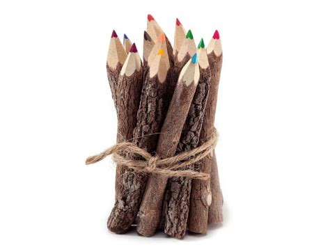 Twig Pencils Colored Pencils Wood Pencils Color Pencils Rustic - Etsy