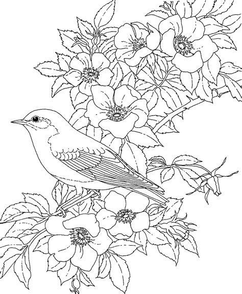 Adult Coloring Pages Flowers To Download And Print For Free