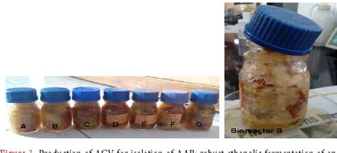 Figure 1 From Isolation Of Acetic Acid Bacteria And Preparation Of Starter Culture For Apple