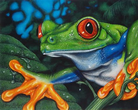 Frog Painting