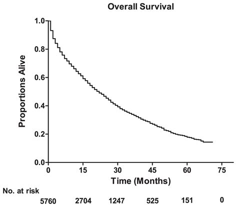 Prognostic Factors And Survival Outcomes According To Tumor Subtype In