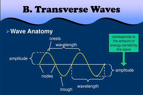 Waves I Characteristics Of Waves Waves Transverse Waves Ppt Download