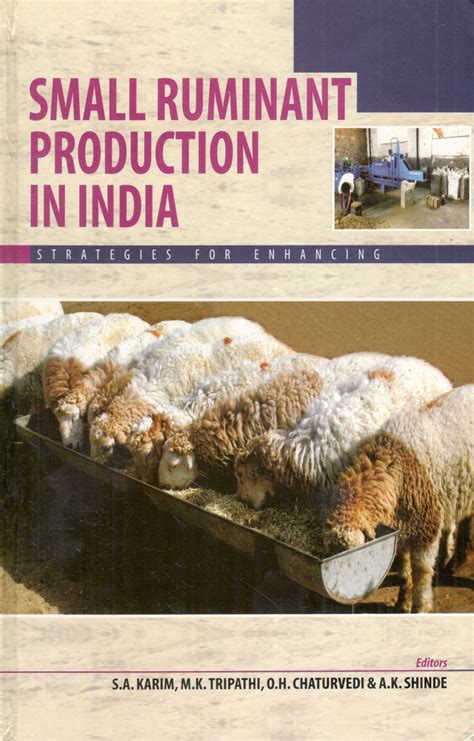 Small Ruminant Production In India