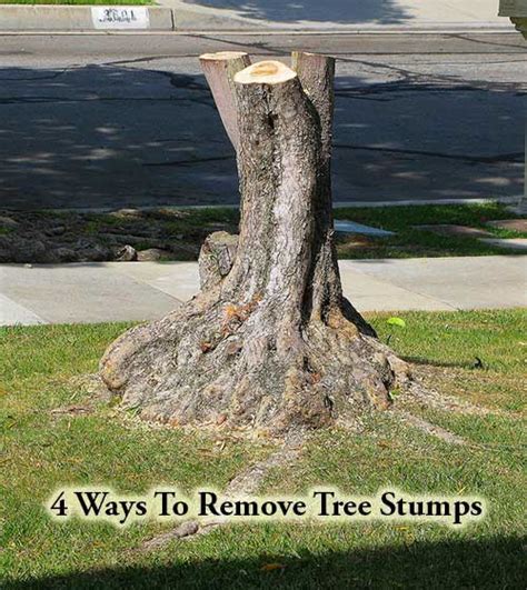 4 Ways To Remove Tree Stumps