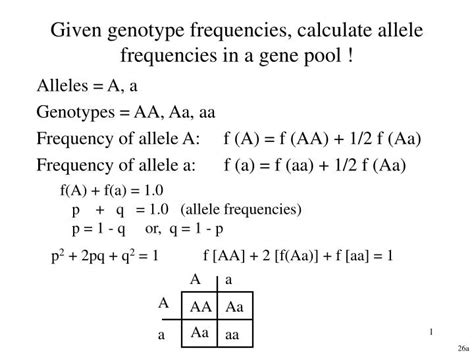 Ppt Given Genotype Frequencies Calculate Allele Frequencies In A